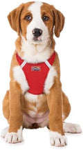 Doggie Design Dog Harness by DoggieDesign