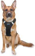 Doggie Design Dog Harness by DoggieDesign