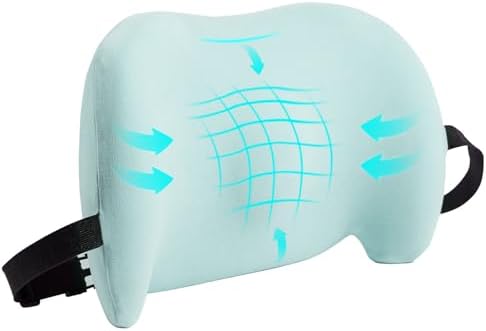 Lumbar Support Pillow for Office Chair, Memory Foam Car Back Cushion by BYMECOST