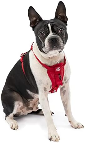 Kurgo Enhanced Strength Tru-Fit Dog Car Harness by Kurgo