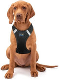 Doggie Design Dog Harness by DoggieDesign