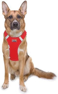 Doggie Design Dog Harness by DoggieDesign