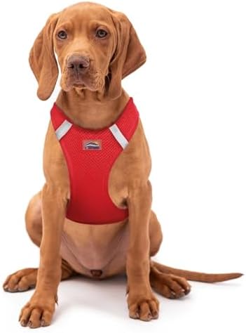 Doggie Design Dog Harness by DoggieDesign