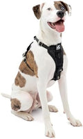 Kurgo Enhanced Strength Tru-Fit Smart Harness by Kurgo