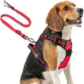 Joytale No Pull Dog Harness & Seat Belt, Easy On 3-Buckle by Joytale