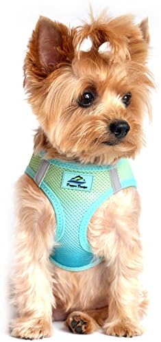 American River Dog Harness Ombre Collection - Image 5