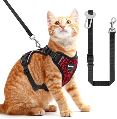 Cat Harness and Leash for Walking Escape Proof Soft Adjustable Cat Leash by Unknown