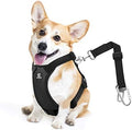 VavoPaw Dog Seat Belt Vest Harness by VavoPaw