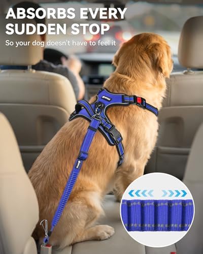 Joytale 3-in-1 Bungee Dog Seat Belt - Image 3