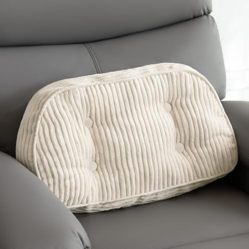 HIGOGOGO Lumbar Support Pillow for Recliner Chair/Accent Chair/Couch/Office by HIGOGOGO