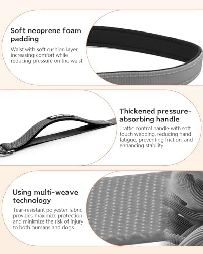 Hands Free Dog Leash - Image 4