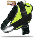 DOGGYKINGDOM No Choke Dog Harness by DOGGYKINGDOM%C2%AE