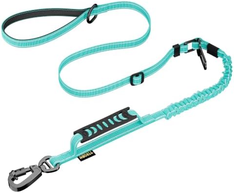AUBELL Tactical Dog Leash Heavy Duty, 4-6ft No Pull Bungee Leash by AUBELL