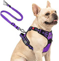 Joytale No Pull Dog Harness & Seat Belt, Easy On 3-Buckle by Joytale