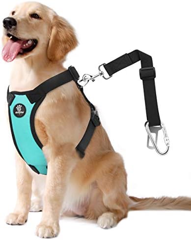 VavoPaw Dog Seat Belt Vest Harness by VavoPaw
