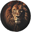 Mighty Lion Spare Tire Cover Wheel Protectors by Ovitssrk