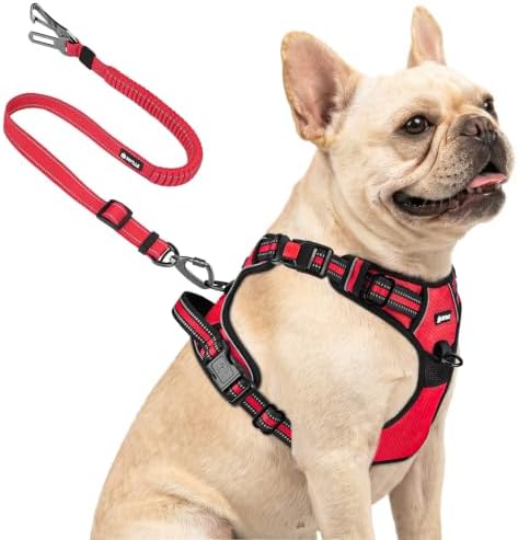 Joytale No Pull Dog Harness & Seat Belt, Easy On 3-Buckle by Joytale