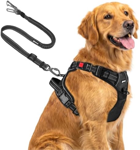 Joytale No Pull Dog Harness & Seat Belt, Easy On 3-Buckle by Joytale