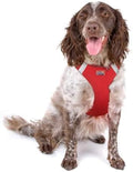 Doggie Design Dog Harness by DoggieDesign
