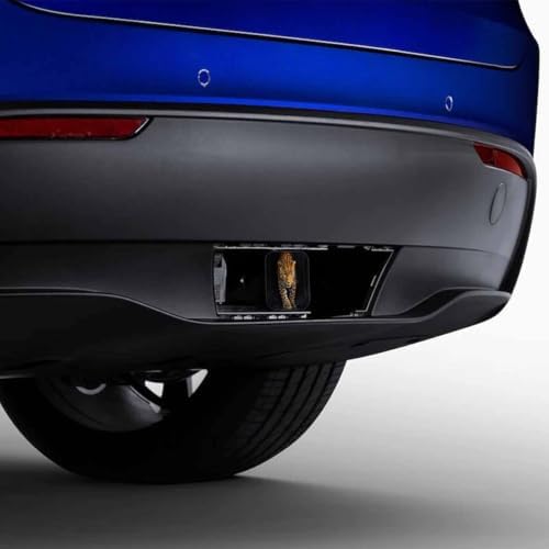 Leopard Truck Hitch Covers - Image 4