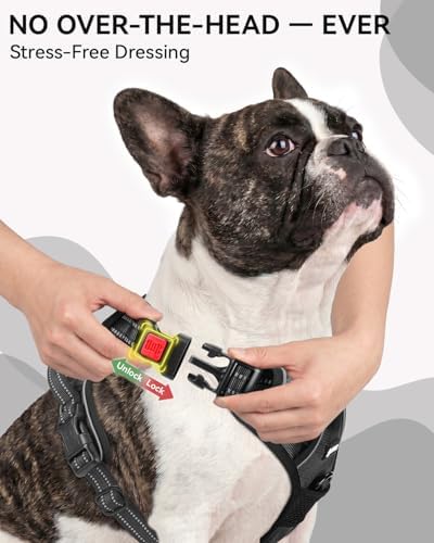 Joytale No Pull Dog Harness & Seat Belt, Easy On 3-Buckle - Image 2