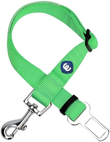 Blueberry Pet Essentials Classic Dog Leash, Neon Green Dog Leashes by BlueberryPet