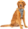 Kurgo Enhanced Strength Tru-Fit Smart Harness, Extra Large by Kurgo