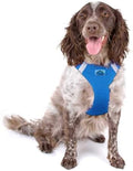 DOGGIE DESIGN American River Solid Ultra Choke-Free Dog Harness by DoggieDesign