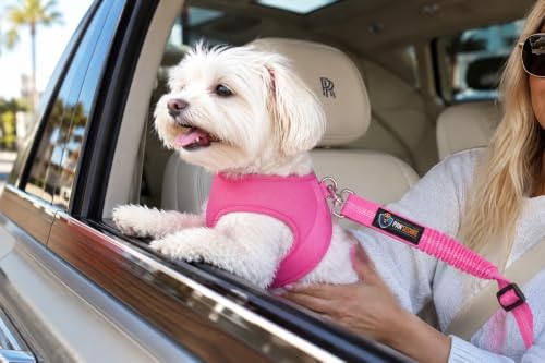 Dog Seat Belts, Durability Retractable Dog Car Harness Adjustable Bungee Saftey - Image 4