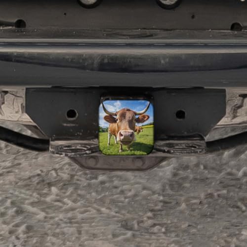 Swono Bull Truck Hitch Cover - Image 5
