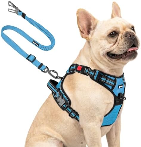 Joytale No Pull Dog Harness & Seat Belt, Easy On 3-Buckle, Sky Blue by Joytale