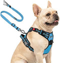 Joytale No Pull Dog Harness & Seat Belt, Easy On 3-Buckle, Sky Blue by Joytale