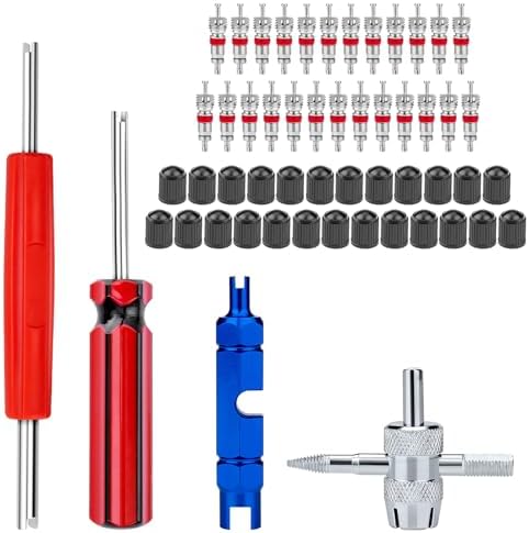 56Pcs Valve Stem Removal Tool, Valve Cores, 4-Way Valve Tool, Valve Core by SOKOSEY
