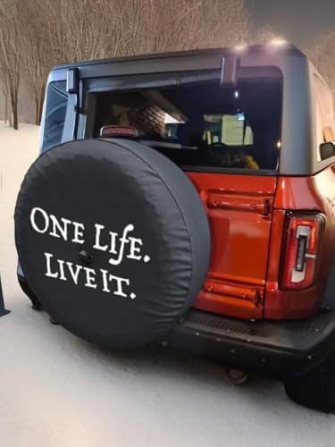 Spare Tire Wheel Cover with Backup Camera Hole - Image 2