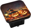 Swono Halloween Trailer Hitch Cover by Swono