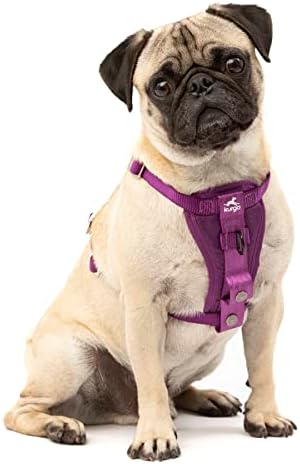 Kurgo Enhanced Strength Tru-Fit Smart Harness, Deep Violet, Extra Small by Kurgo