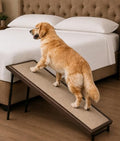 Pet Gear Free Standing Pet Ramp by PetGear