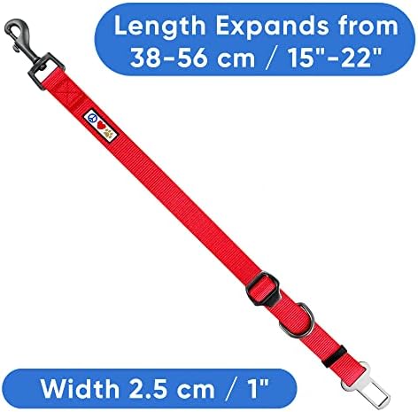 Pawtitas Red Seat Belt Pet Carrier - Image 4