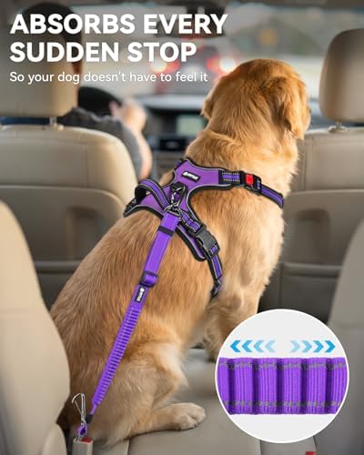 Joytale 3-in-1 Bungee Dog Seat Belt - Image 3