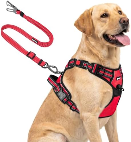 Joytale No Pull Dog Harness & Seat Belt, Easy On 3-Buckle by Joytale