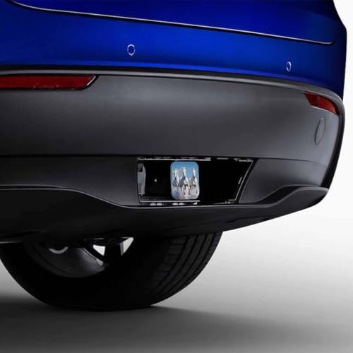 Horse Tow Trailer Hitch Cover Plug Insert - Image 4