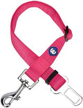 Blueberry Pet Dog Leash Essentials: Classic Seat Belt Tether by BlueberryPet