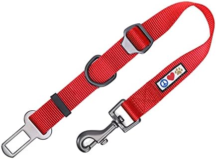 Pawtitas Red Seat Belt Pet Carrier by Pawtitas