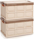 Collapsible Storage Box with lid 30L Lidded Storage Bin Crates Plastic Tote by jocabo