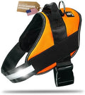 DOGGYKINGDOM No Choke Dog Harness by DOGGYKINGDOM%C2%AE
