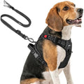 Joytale No Pull Dog Harness & Seat Belt, Easy On 3-Buckle by Joytale