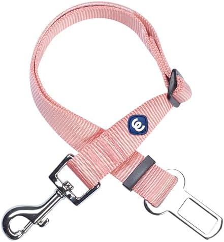 Blueberry Pet Dog Leash & Puppy Essentials: Durable Dog Leashes by BlueberryPet