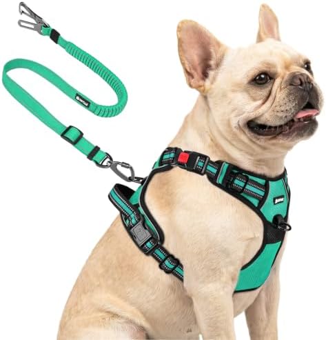Joytale No Pull Dog Harness & Seat Belt, Easy On 3-Buckle by Joytale