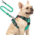 Joytale No Pull Dog Harness & Seat Belt, Easy On 3-Buckle by Joytale