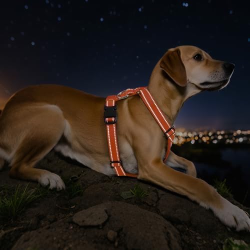 VavoPaw Dog Seat Belt Harness for Car, Dog Car Harness Adjustable Mesh - Image 6